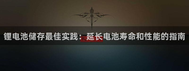 尊龙app下载官网：锂电池储存最佳实践：延长电池寿命和性能的指南