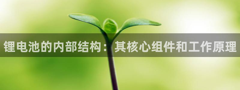 凯时游戏官方网站：锂电池的内部结构：其核心组件和工作原理