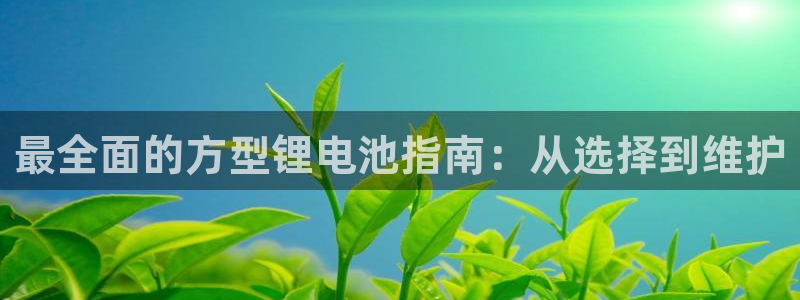 尊龙AG发财网：最全面的方型锂电池指南：从选择到维护